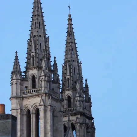 호텔 Notre Dame 3*